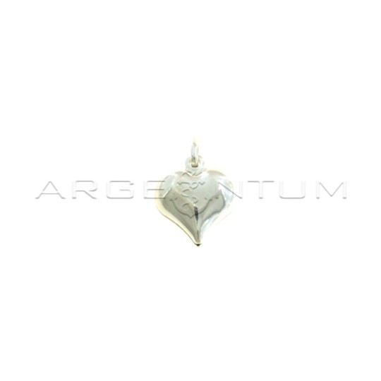Heart pendant paired in 925 silver