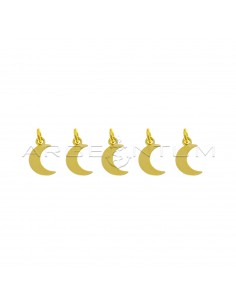 925 silver plated yellow gold plated moon pendants (5 pcs.)