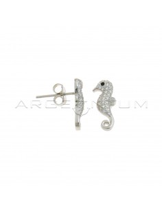 White semi-zircon seahorse lobe earrings with white gold plated black zircon eye in 925 silver