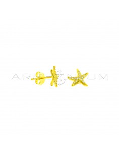 Yellow gold-plated white zircon starfish lobe earrings in 925 silver