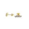 Lobe earrings with gradation of light points, yellow gold plated in 925 silver