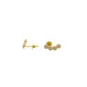 Bow lobe earrings with yellow gold plated round zircons in 925 silver