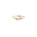Solitaire ring with white side zircons plated yellow gold in 925 silver (size 20)