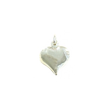 Heart pendant paired in 925 silver