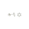 White gold plated David star lobe earrings in 925 silver