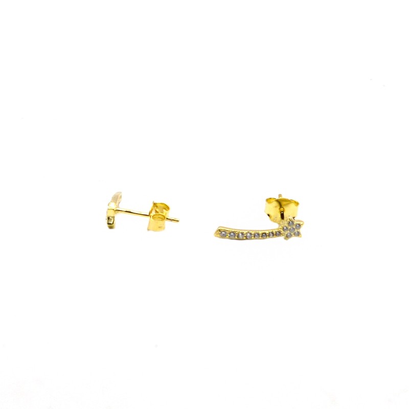 Degradè segment lobe earrings with yellow gold plated white cubic zirconia star in 925 silver