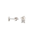 Orecchini a lobo micro fiore 4 petali di zirconi bianchi placcati oro bianco in argento 925